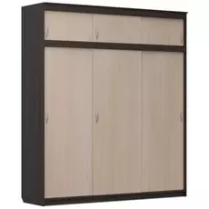 Шкаф-купе Миллениум