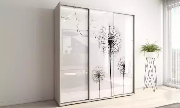 Шкаф-купе Модус