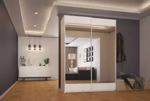 Шкаф-купе Прайм Реал