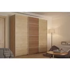 Шкаф-купе Прайм Реал
