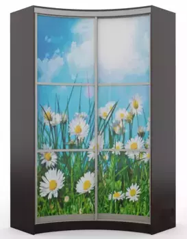 Шкаф-купе радиусный Рада