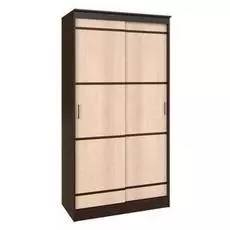 Шкаф-купе Сакура 1