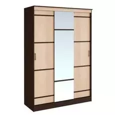 Шкаф-купе Сакура 1