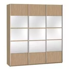 Шкаф-купе Скай