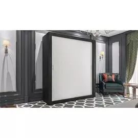 Шкаф-купе София-1