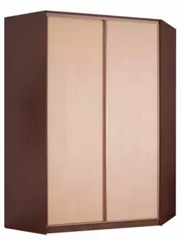 Шкаф-купе угловой Эконом