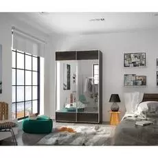 Шкаф-купе Вальтер ЛДСП