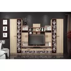 Стенка Багира