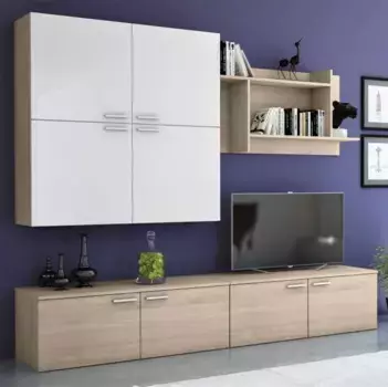 Стенка Леон