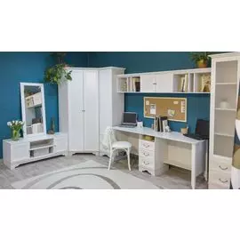 Стол на два рабочих места 38 попугаев Классика