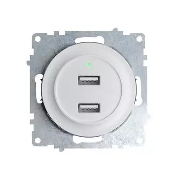 Розетка USB двойная, с подсветкой Белый