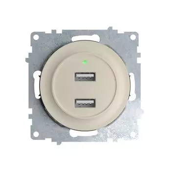 Розетка USB двойная, с подсветкой Бежевый