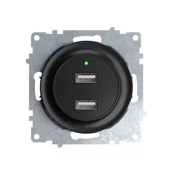 Розетка USB двойная, с подсветкой Чёрный