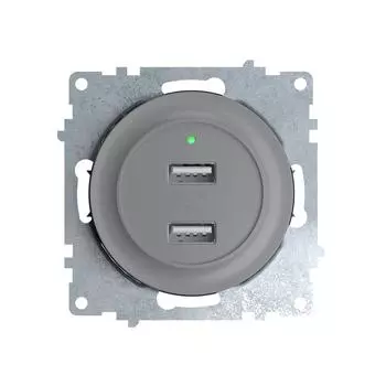 Розетка USB двойная, с подсветкой Серый