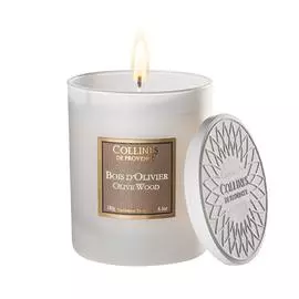 Аромасвеча "Оливковое Дерево"