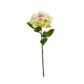 Искусственное растение