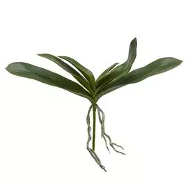 Искусственное растение