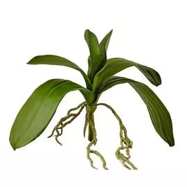 Искусственное растение