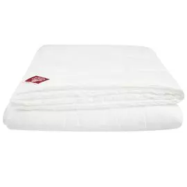 Легкое одеяло «Bamboo grass», 200x220 см