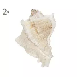 Набор из 2 дверных ручек