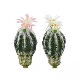 Набор из 2 искусственных растений