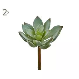 Набор из 2 искусственных растений