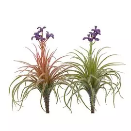 Набор из 2 искусственных растений