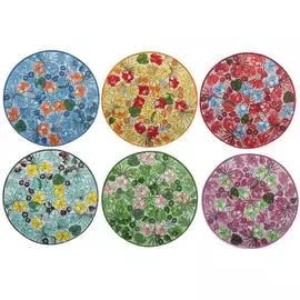 Набор из 6 обеденных тарелок