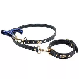 Набор из поводка и ошейника для собак