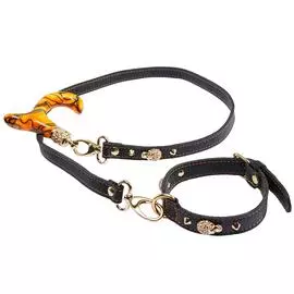 Набор из поводка и ошейника для собак
