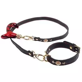 Набор из поводка и ошейника для собак