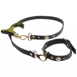 Набор из поводка и ошейника для собак
