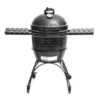 Керамический угольный гриль DinoEgg Standart Black