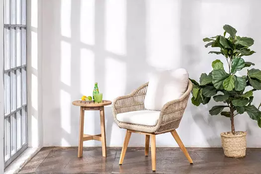 Кресло обеденное из тика Joygarden TALARA