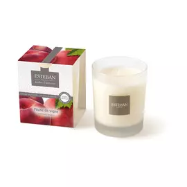 Арома свеча 170г "Сочный персик"