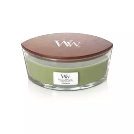 Аромасвеча эллипс "Вечнозеленые леса"