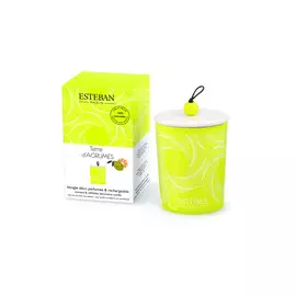 Аромасвеча деко "Цитрусовый сад" 170 г