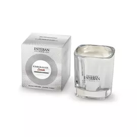 Аромасвеча "Гранат и корица", 170г