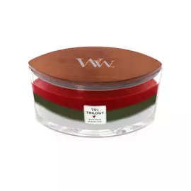 Аромасвеча Хвойная сказка 453,6г