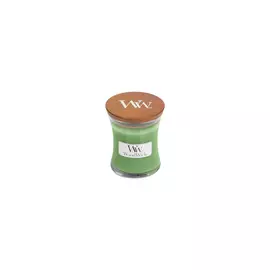 Аромасвеча Вьющийся плющ 85г