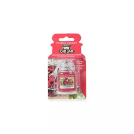 Ароматизатор для авто, гелевый. Красная малина