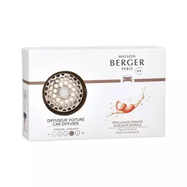 Автодиффузор-клипса "Брызги шампанского"