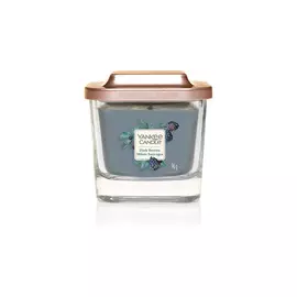 Elevation. Малая свеча. Лесные ягоды