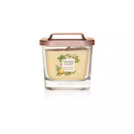 Elevation. Малая свеча. Тонка и Тыква.