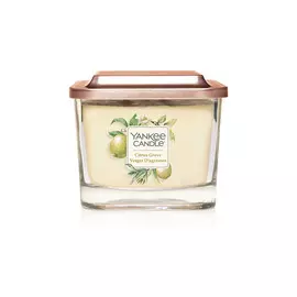 Elevation. Средняя свеча. Цитрусовый сад