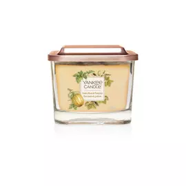 Elevation. Средняя свеча. Тонка и Тыква.