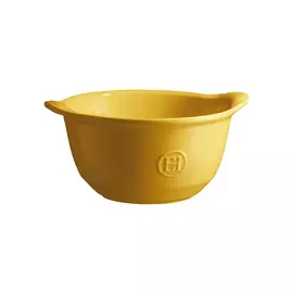 Форма для гратена Emile Henry 14см (прованс)