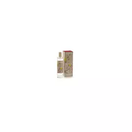 Интерьерные духи 100мл "Зеленый чай"