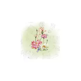 Салфетки 2шт "Lotus"