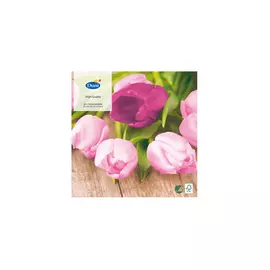 Салфетки 3сл 33х33см EASTER TULIP